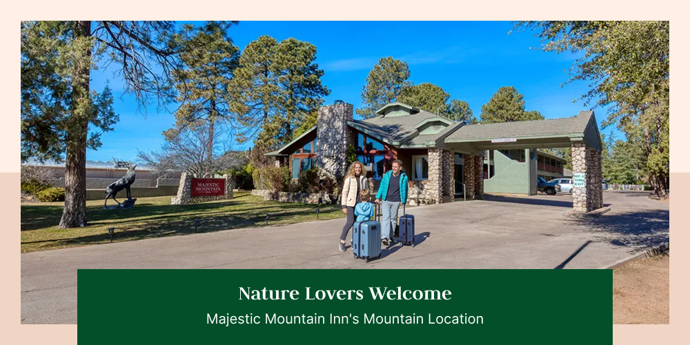 Nature Lovers Welcome: Majestic Mountain Inn's Mountain Location