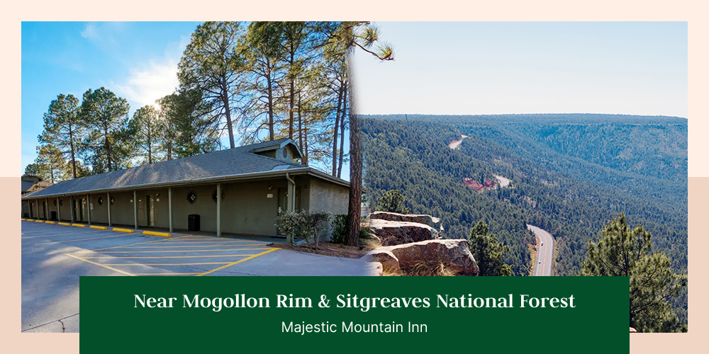 Near Mogollon Rim & Sitgreaves National Forest: Majestic Mountain Inn