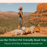 Plan the Perfect Pet-Friendly Road Trip to Payson AZ & Stay at Majestic Mountain Inn