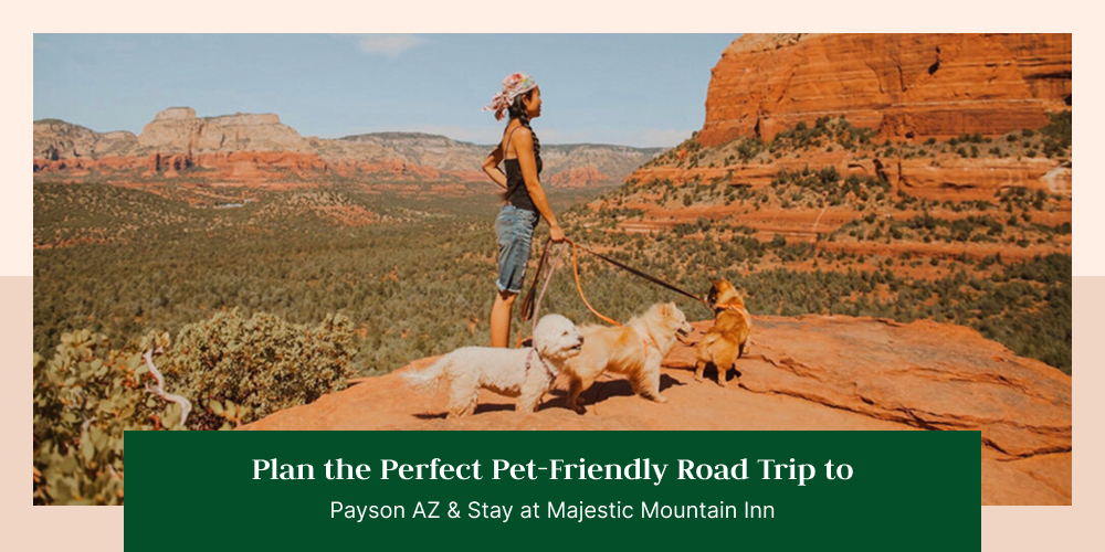 Plan the Perfect Pet-Friendly Road Trip to Payson AZ & Stay at Majestic Mountain Inn