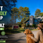 Plan the Perfect Pet-Friendly Road Trip to Payson, AZ — Stay at Majestic Mountain Inn & Wake Up to Mountain Views